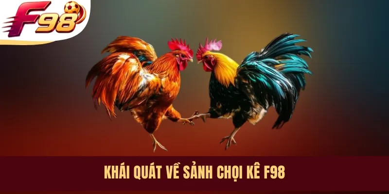 Khái quát về sảnh chọi kê F98