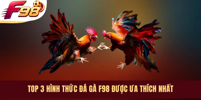 Top 3 hình thức đá gà F98 được ưa thích nhất