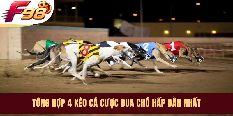 Tổng hợp 4 kèo cá cược đua chó hấp dẫn nhất